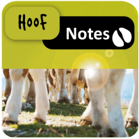 Picto Hoof Notes