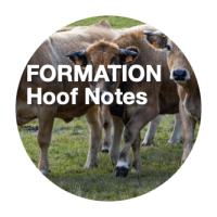 hoof-notes